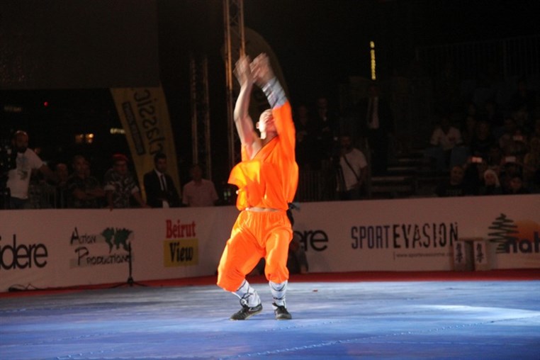 Martial Arts Festival